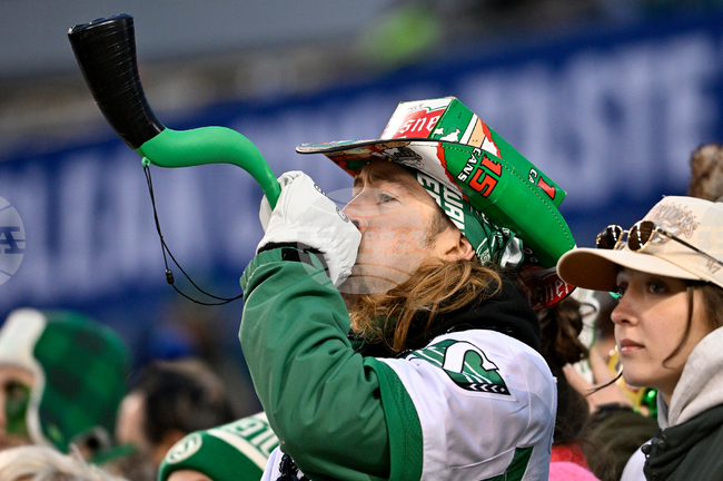 CFL Grey Cup Football