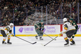 Golden Knights Wild Hockey