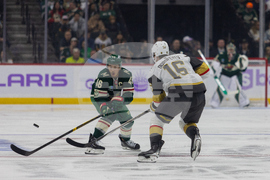 Golden Knights Wild Hockey