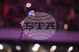 Lions Eagles Football