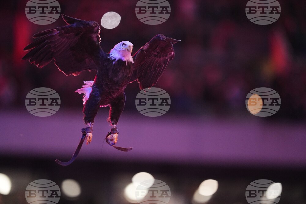 Lions Eagles Football