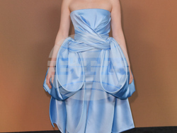 16th Governors Awards - Arrivals