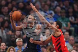 Trail Blazers Mavericks Basketball