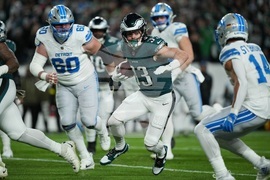 Lions Eagles Football