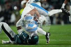 Lions Eagles Football