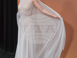 16th Governors Awards - Arrivals