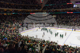 Golden Knights Wild Hockey