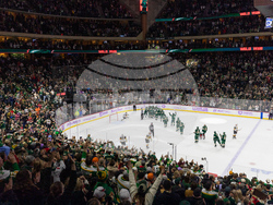 Golden Knights Wild Hockey