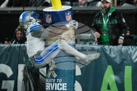 Lions Eagles Football