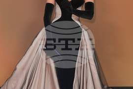 16th Governors Awards - Arrivals