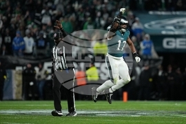 Lions Eagles Football