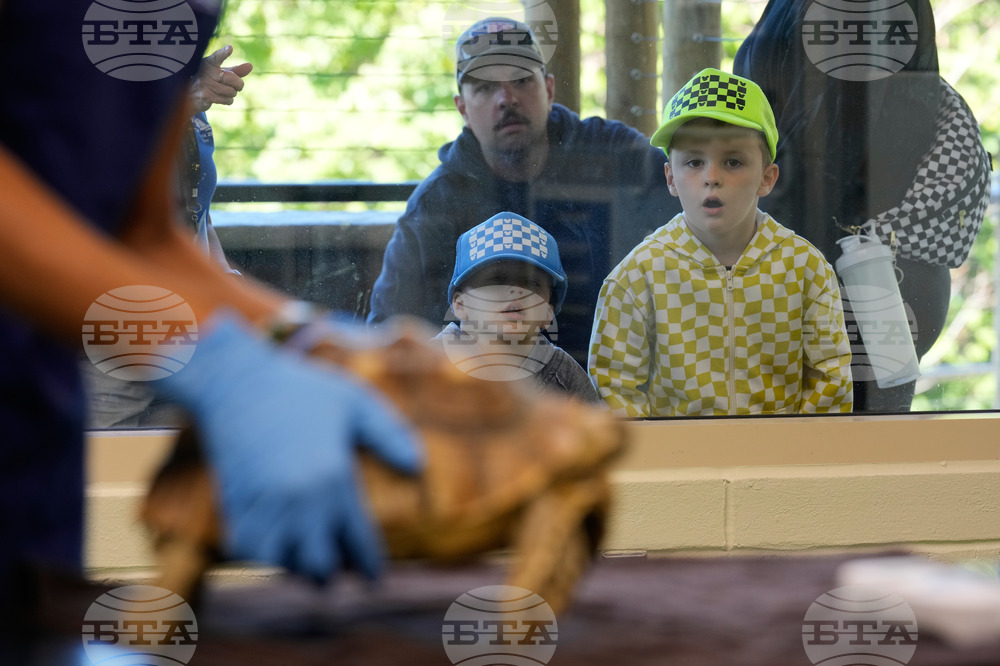 Zoos-Viewing Veterinarians