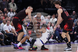 Bulls Jazz Basketball