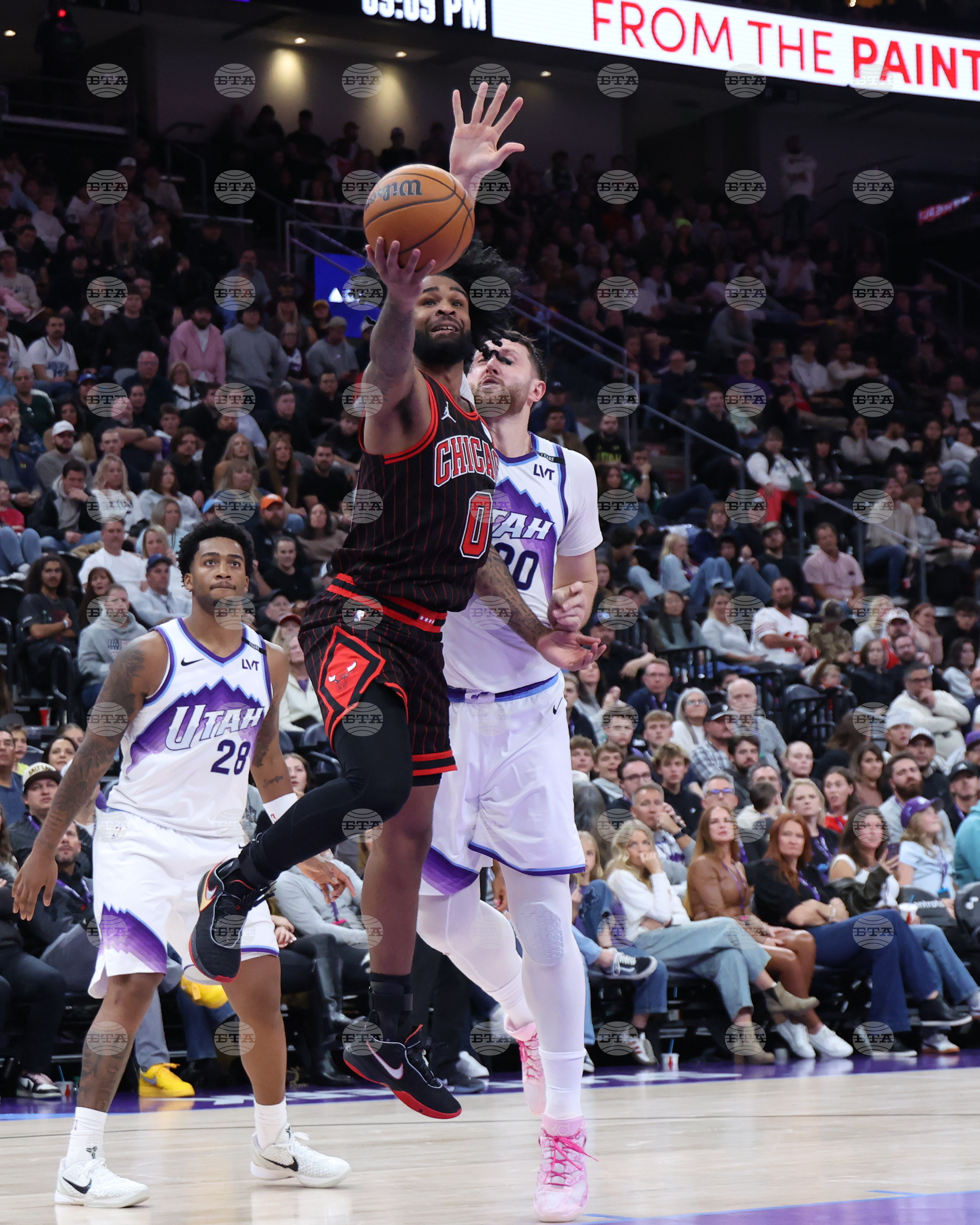 Bulls Jazz Basketball