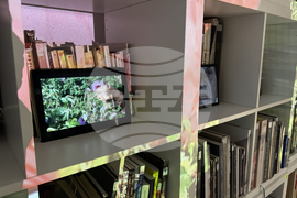 Казанлък - изложба