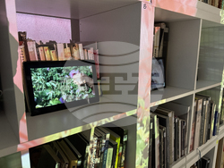 Казанлък - изложба