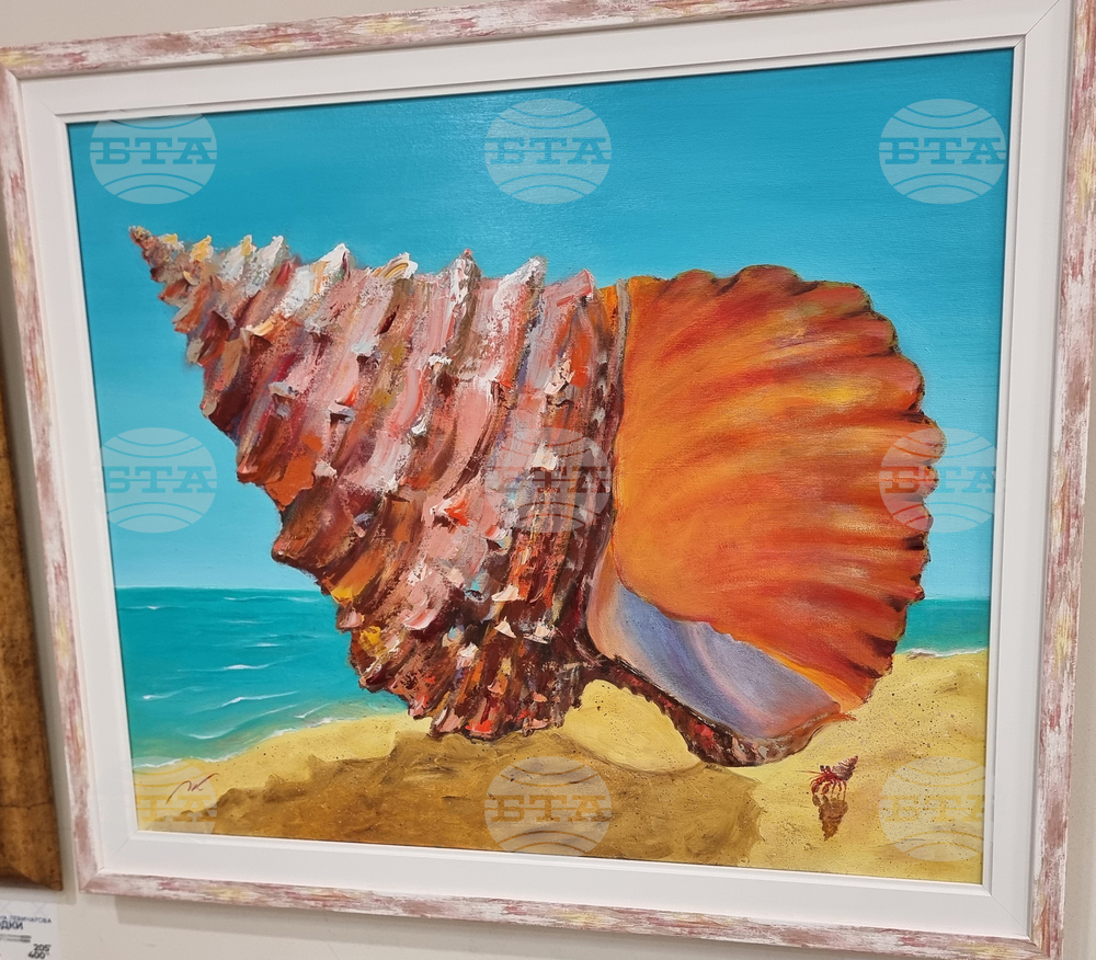 Варна - университет - изложба