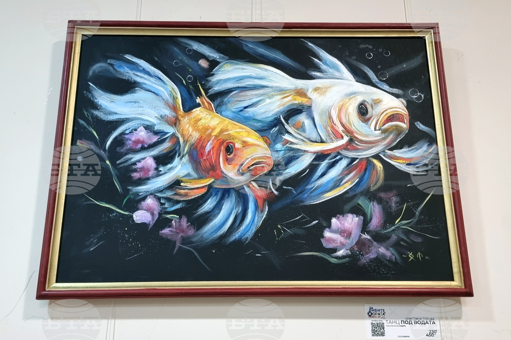 Варна - университет - изложба