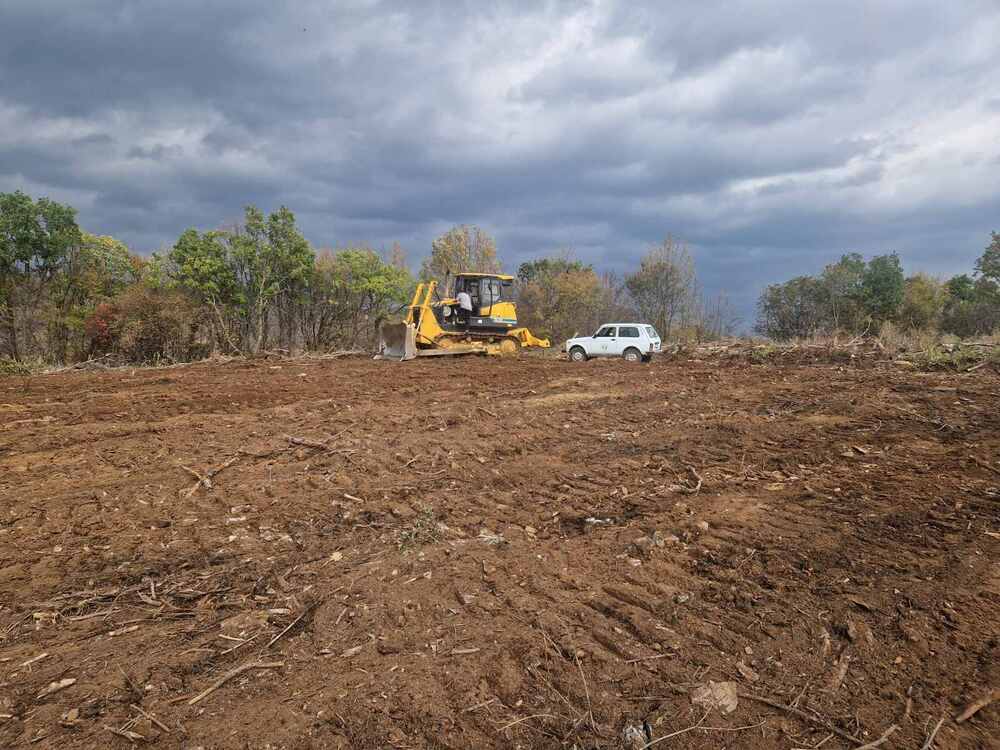 Община Стара Загора: На „Седми километър“ ще има само гора - на 22 ноември предстои залесяване на нови 13 хил. фиданки