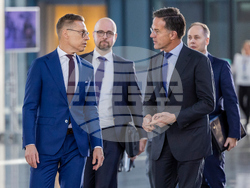 Belgium NATO Finland