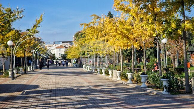 Временна организация на движението ще бъде въведена в центъра на Поморие на 2 декември