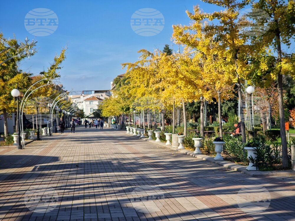 Временна организация на движението ще бъде въведена в центъра на Поморие на 2 декември