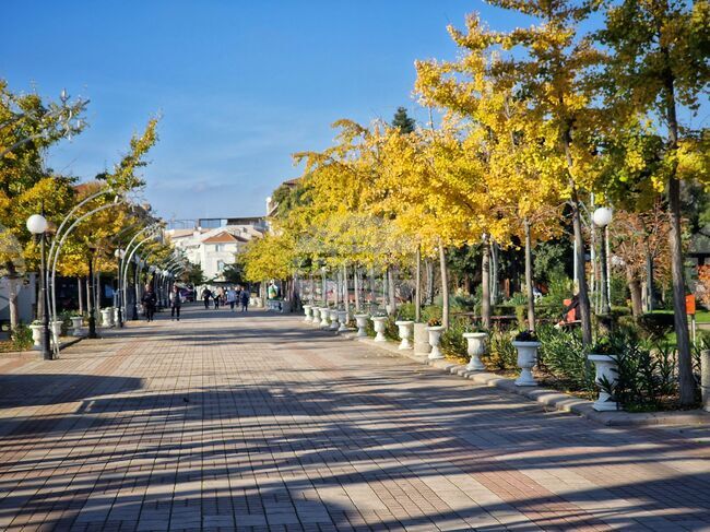 Временна организация на движението ще бъде въведена в центъра на Поморие на 2 декември