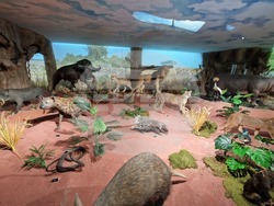 Пловдив - Природонаучен музей - нова експозиционна зала