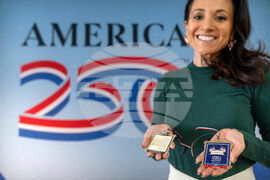 America 250 Ornament