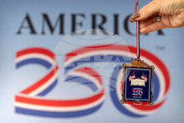 America 250 Ornament
