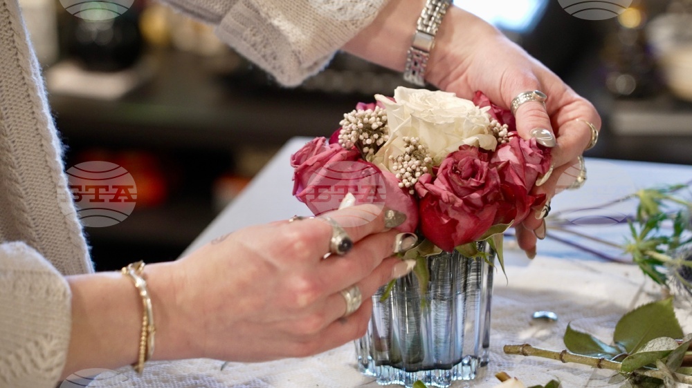 Cannabis Use Treatment