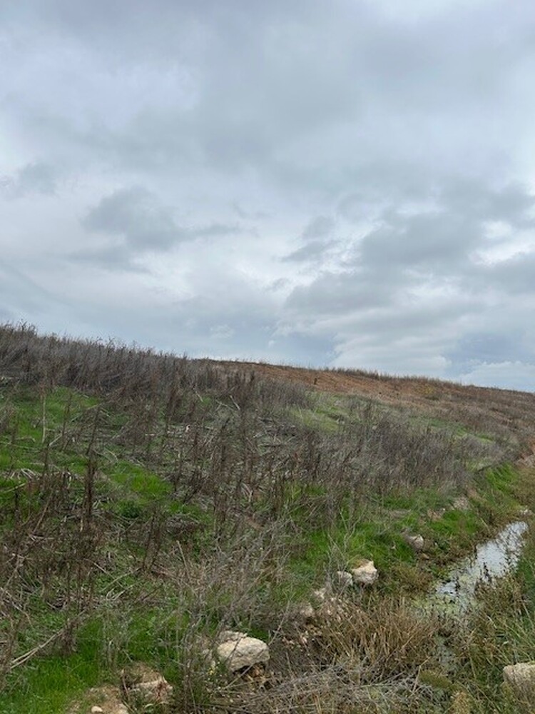 РИОСВ-Русе: Закрито е депото за опасни отпадъци на завода за фармацевтични продукти в Разград