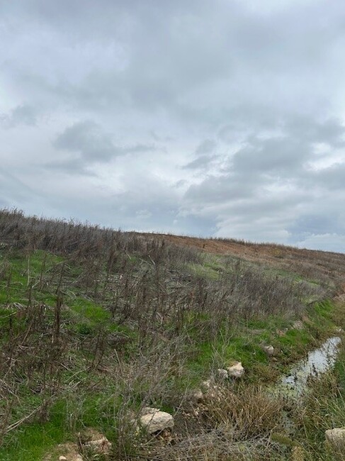 РИОСВ-Русе: Закрито е депото за опасни отпадъци на завода за фармацевтични продукти в Разград