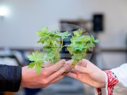 Снимка: Община Разлог