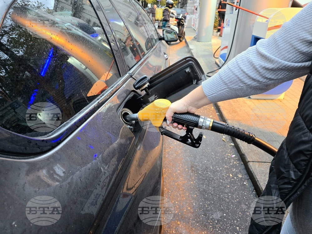 Serbia’s Fuel Supplies to Be Secured by Hungary, North Macedonia - Serbian Association of Employers Honorary President