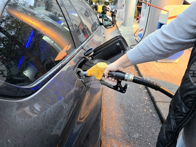 Serbia’s Fuel Supplies to Be Secured by Hungary, North Macedonia - Serbian Association of Employers Honorary President