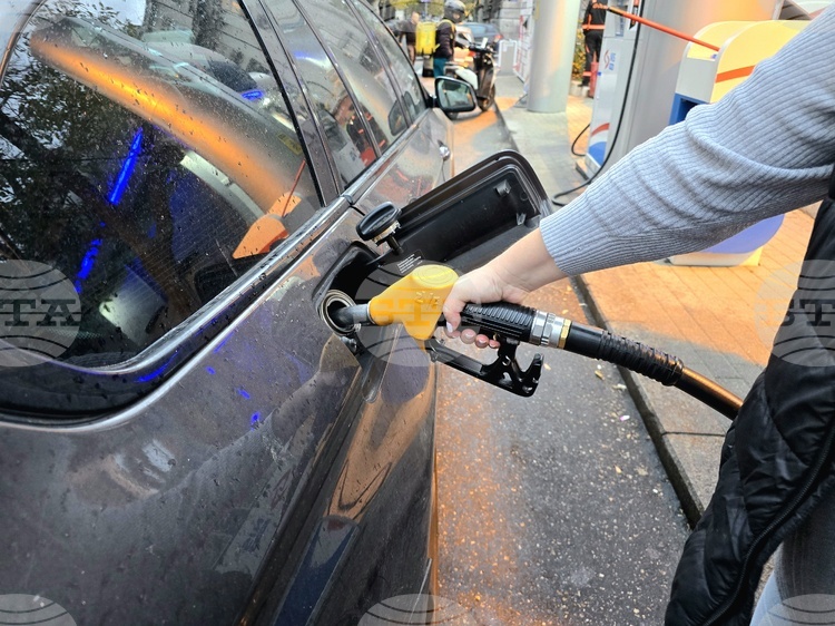 Serbia’s Fuel Supplies to Be Secured by Hungary, North Macedonia - Serbian Association of Employers Honorary President