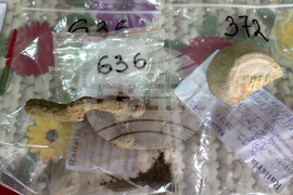 Село Арчар - Антична Рациария - разкопки