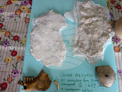 Село Арчар - Антична Рациария - разкопки