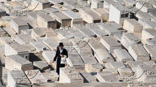 ТПС: Историческата Елеонска планина ще посреща поклонници с нови мерки за сигурност