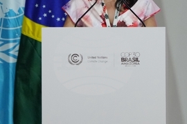 Climate COP30