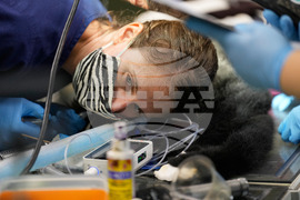 Zoos-Viewing Veterinarians