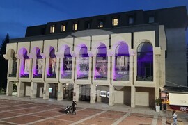 Шумен - Световен ден на недоносените деца - отбелязване