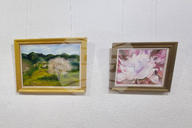 Смолян - Нина Пишинова - изложба