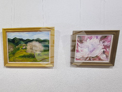 Смолян - Нина Пишинова - изложба