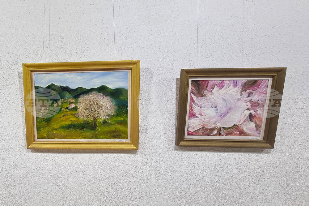 Смолян - Нина Пишинова - изложба