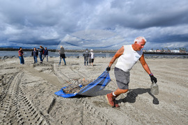 California Daily Life