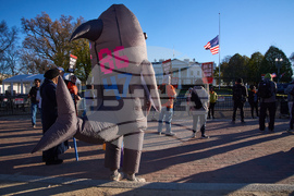 White House Rally