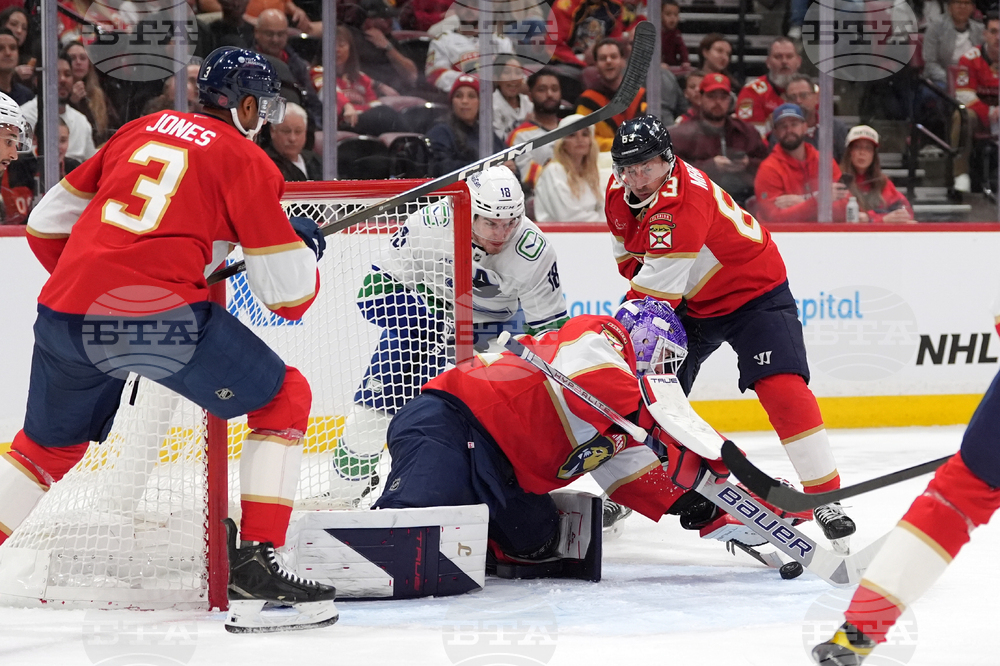 Canucks Panthers Hockey