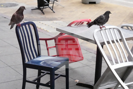 Extreme Weather California